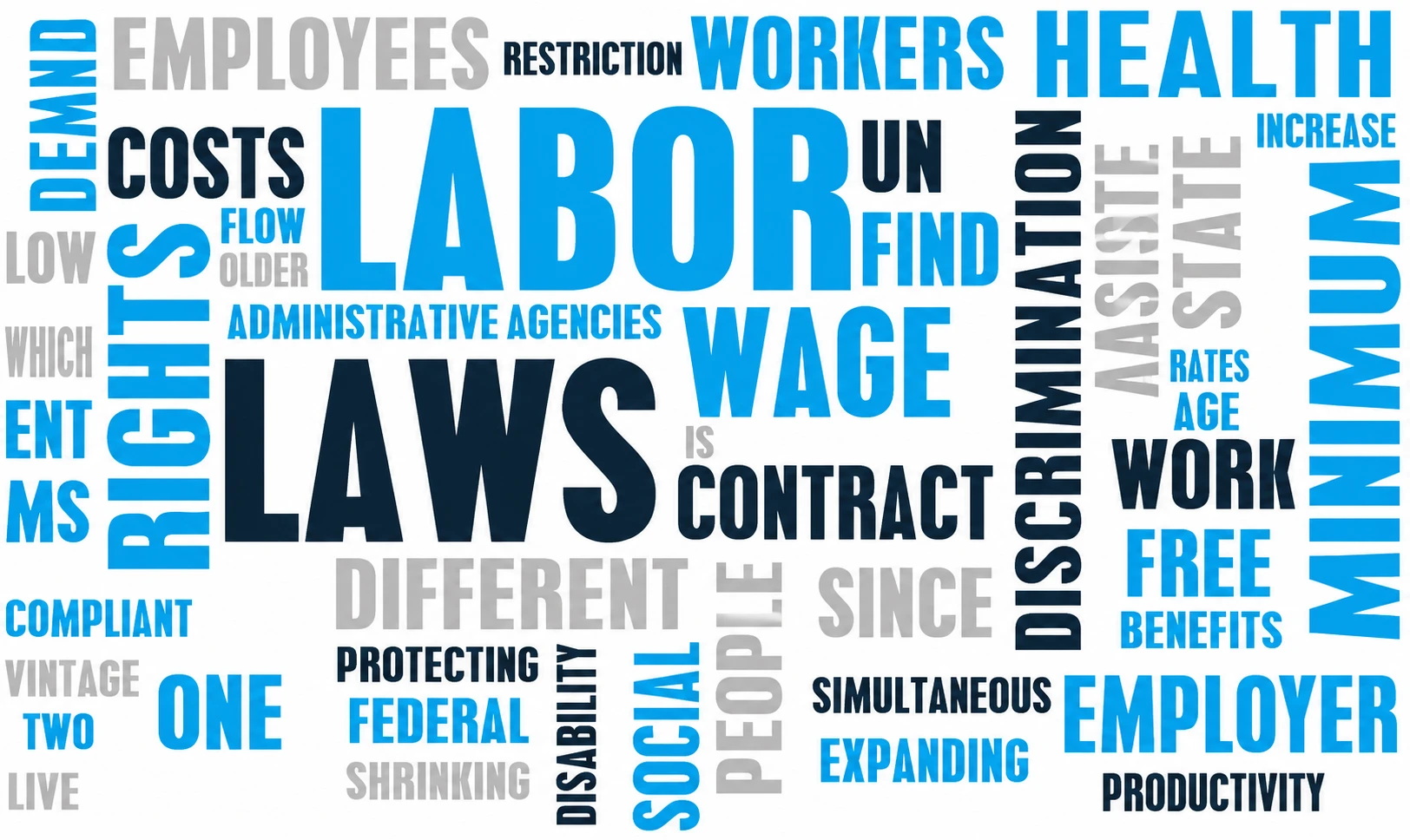 Labour law compliance consultant reviewing documents in Ahmedabad office